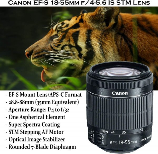 Canon EOS Rebel SL3 DSLR Camera Bundle with Canon EF-S 18-55mm STM Lens + 32GB Sandisk Memory + Camera Case + Digital Flash + Accessory Bundle 3
