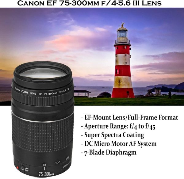 Canon EOS Rebel T6 DSLR Camera with 18-55mm is II Lens Bundle + Canon EF 75 300mm f 4-5.6 III Lens and 500mm Preset Lens + 32GB Memory + Filters + Monopod + Spider Tripod + Professional Bundle 5