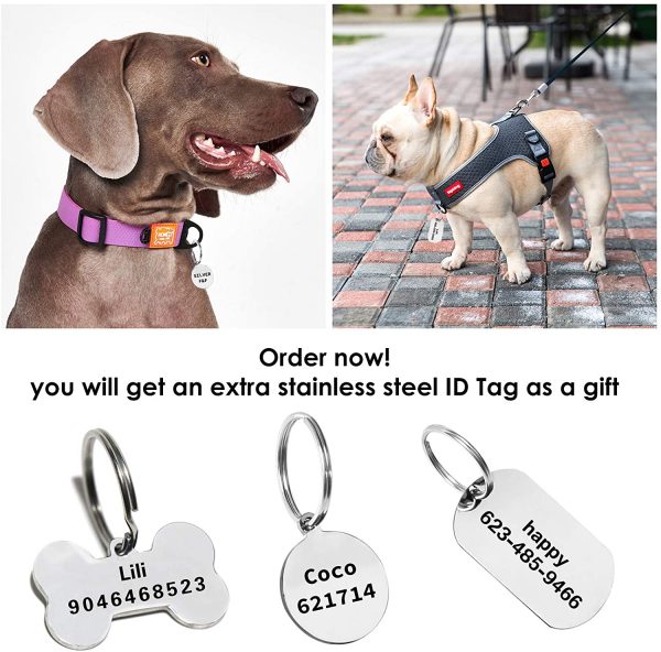 M JJYPET Personalized Dog Cat Collars Engraved Pet Collar with Name Plated Reflective Size Available Extra Small Small Medium Large Extra Large 5