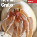 Hermit Crabs (Complete Pet Owner’s Manuals)