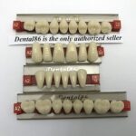 Dental Acrylic Resin Teeth Denture For Halloween Horror Prop by smiledt