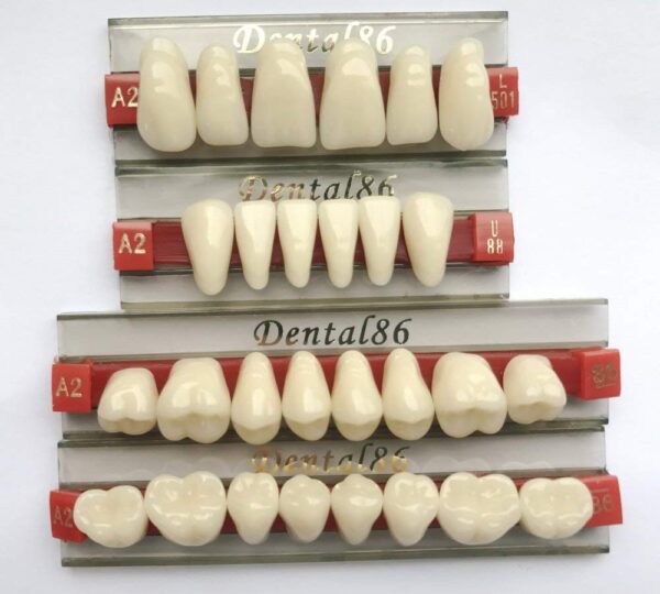 Dental Acrylic Resin Teeth Denture4