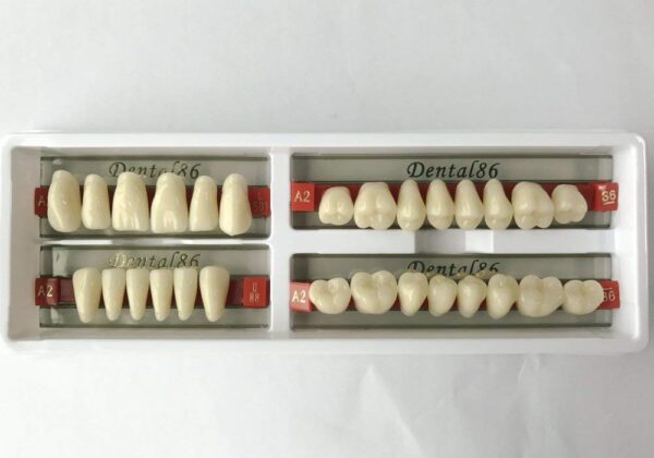 Dental Acrylic Resin Teeth Denture5