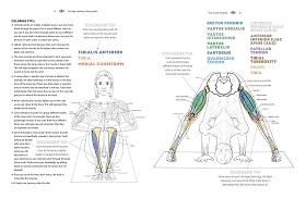 The Yoga Anatomy Coloring Book2